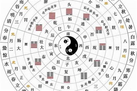 五行天干|天干地支五行对照表